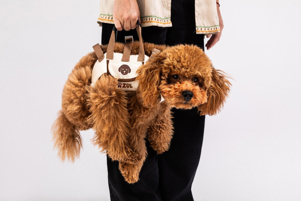 Pet bag Harness