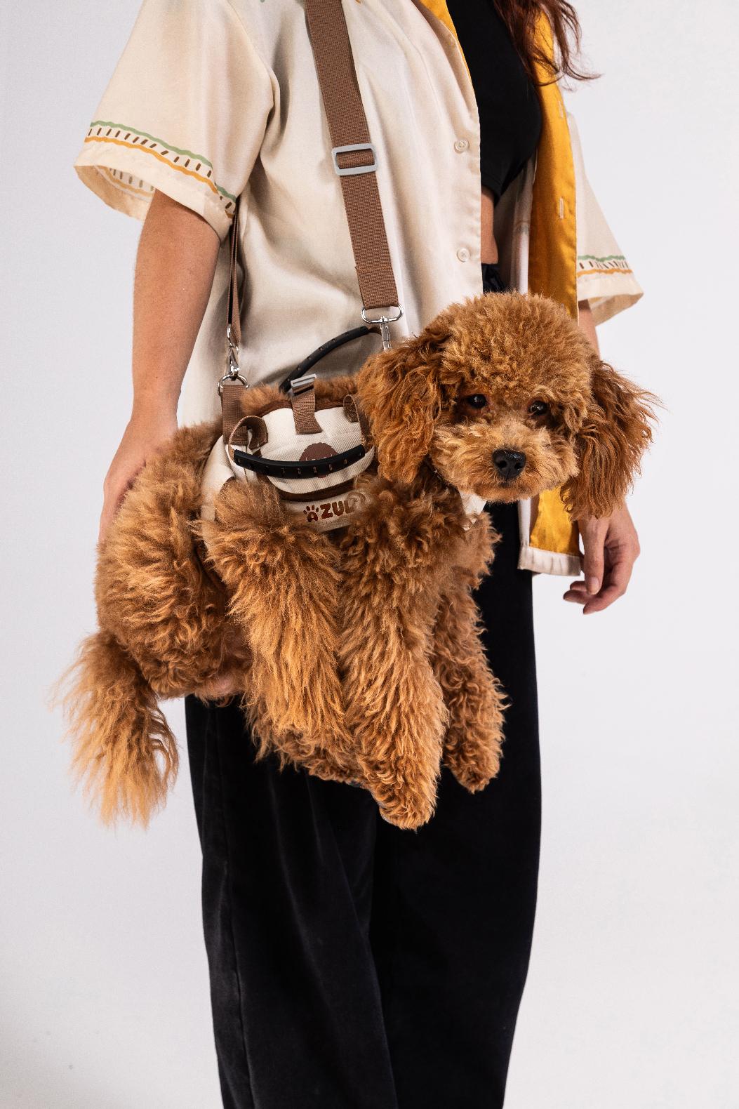 Pet bag Harness